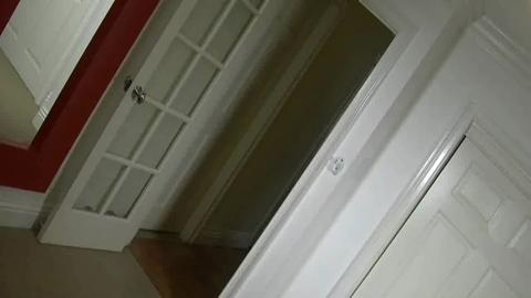 32853